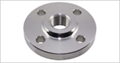 SS 304 304 Threaded Flanges